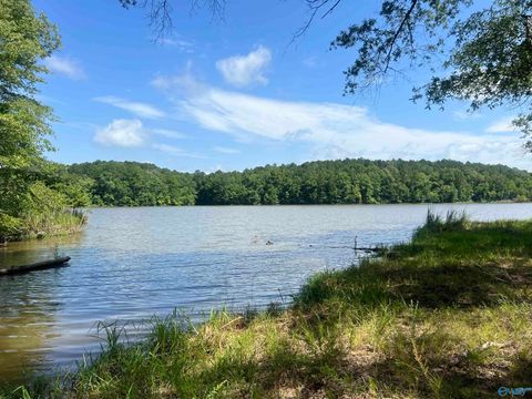Vacant Land For Sale - 1310 County Road 182<br/> Cherokee County, Cedar Bluff, AL 35959