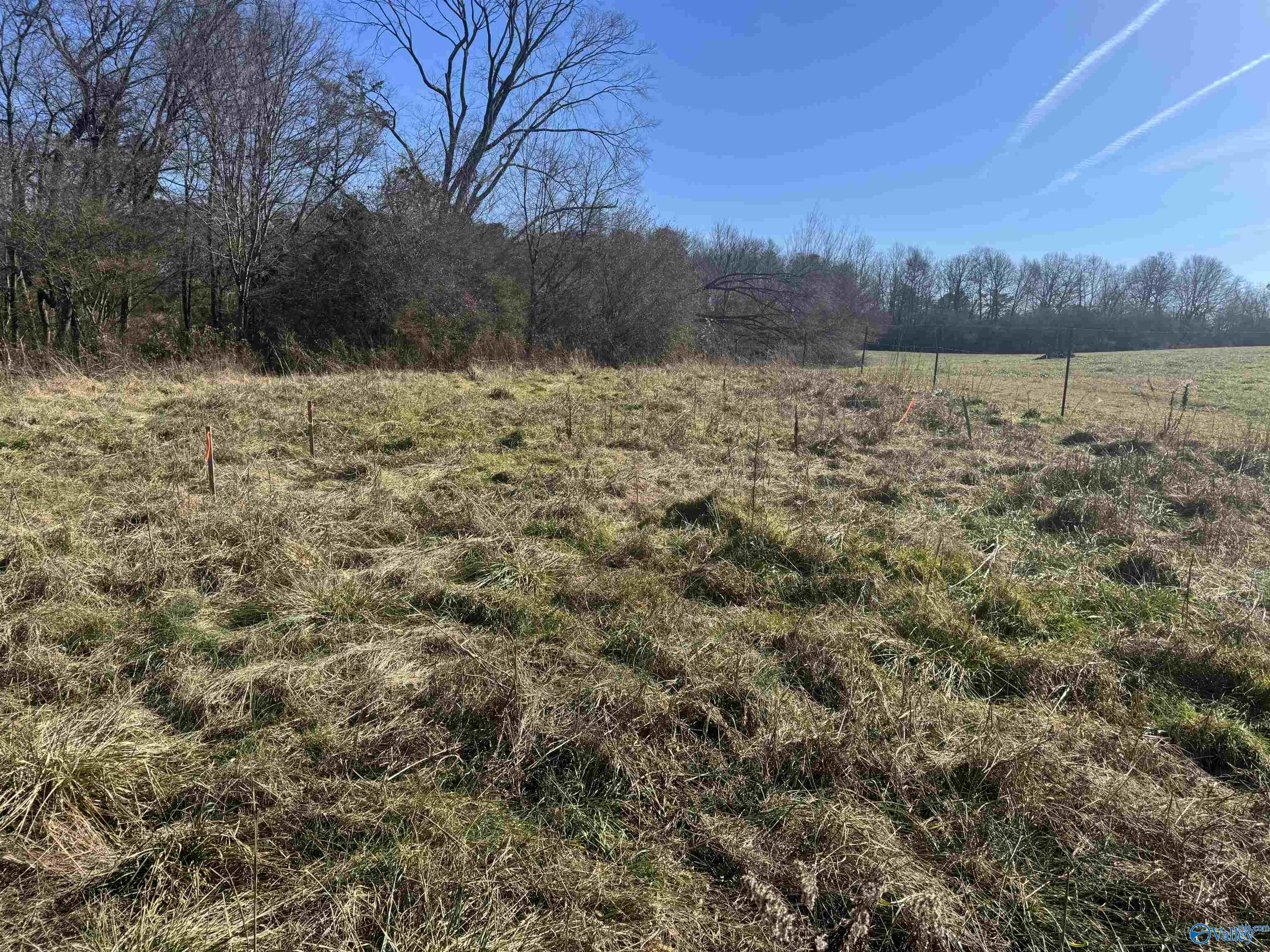 Lot 6 Matt Morrow Road, Arab, Alabama image 3