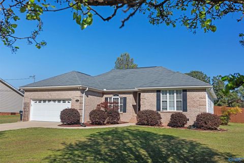 Homes For Sale - 4775 Routon Lane<br/> Etowah County, Southside, AL 35907