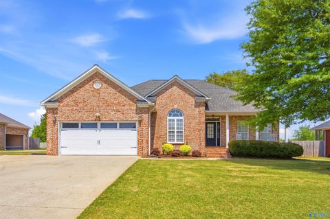 Photo of 25833 Iron Gate Drive, Madison, AL 35756 (MLS # 21917541)