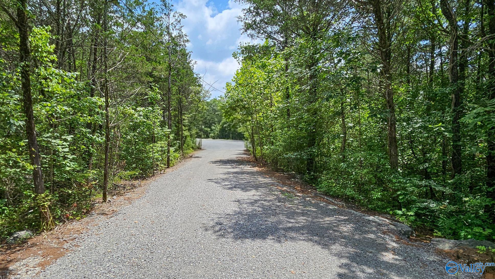 Woodville, Alabama 35776, United States, 2 Bedrooms Bedrooms, ,2 BathroomsBathrooms,Residential,Active,181007