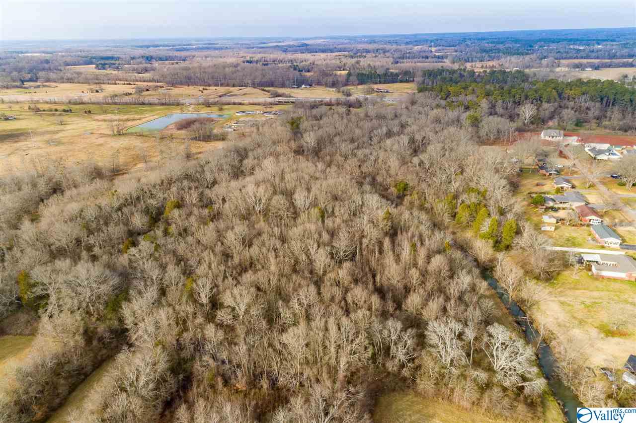 19.40 Acres Beacon Street, Moulton, Alabama image 3