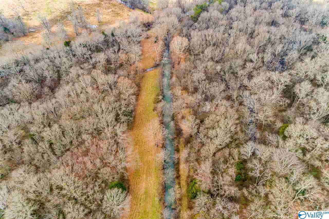 19.40 Acres Beacon Street, Moulton, Alabama image 2