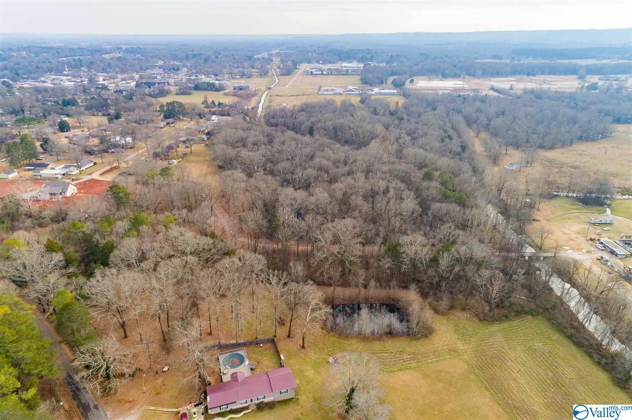 19.40 Acres Beacon Street, Moulton, Alabama image 8