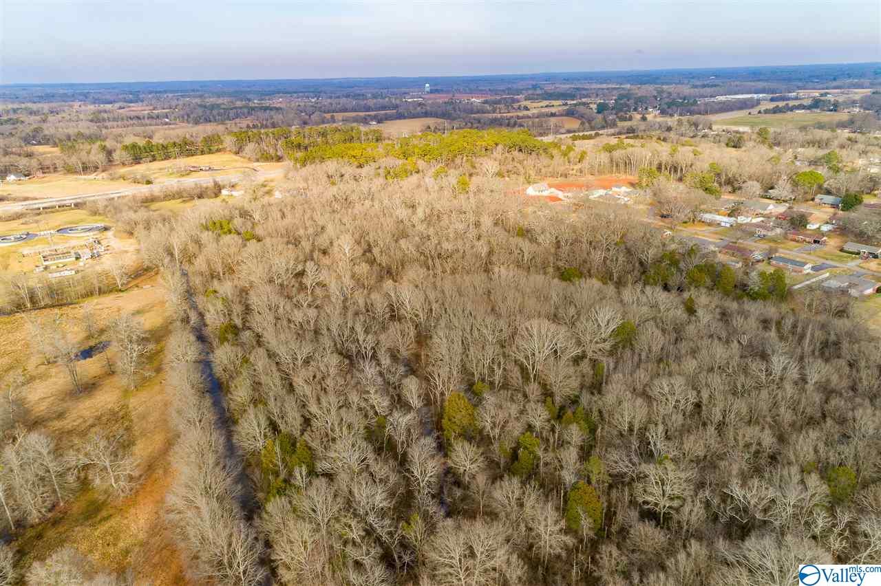 19.40 Acres Beacon Street, Moulton, Alabama image 4