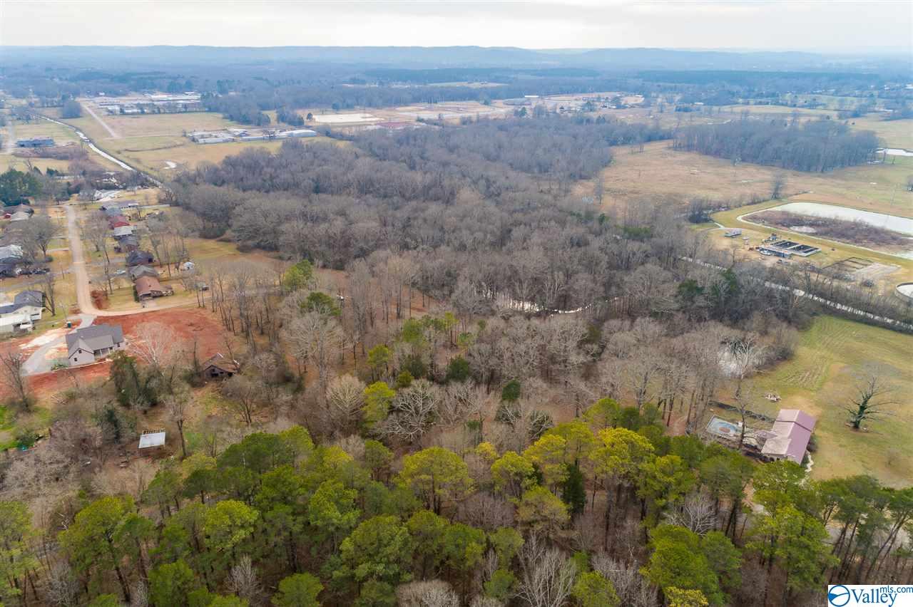 19.40 Acres Beacon Street, Moulton, Alabama image 9