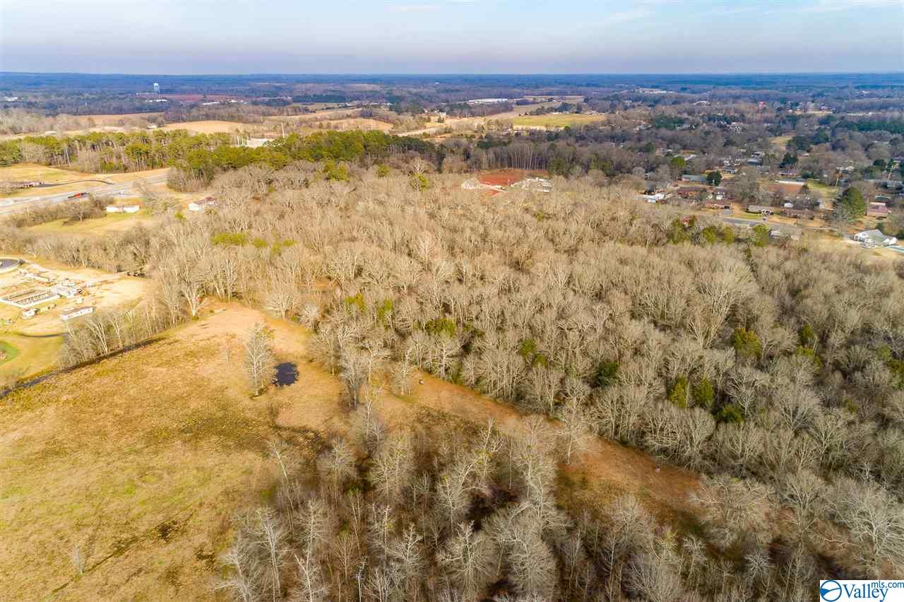 19.40 Acres Beacon Street, Moulton, Alabama image 5