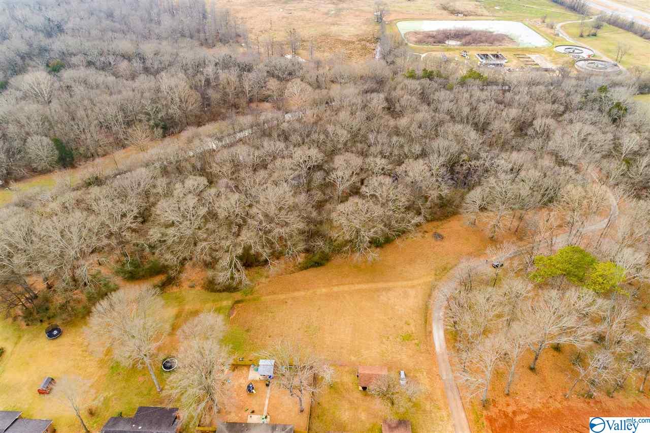 19.40 Acres Beacon Street, Moulton, Alabama image 12