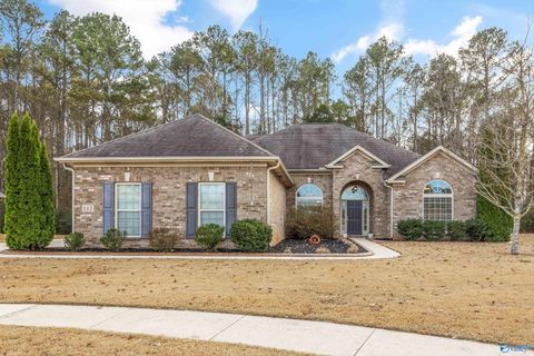 Photo of 142 Autumn Cove Drive, Madison, AL 35756 (MLS # 21905313)