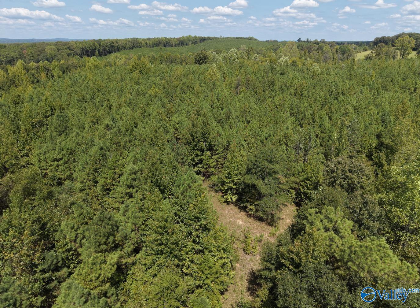 237 Marion Stough Road