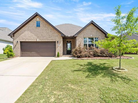 Homes For Sale - 204 Dustin Lane<br/> Madison County, Madison, AL 35757