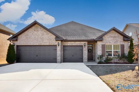 Homes For Sale - 302 Holt Street<br/> Meridianville, AL 35759