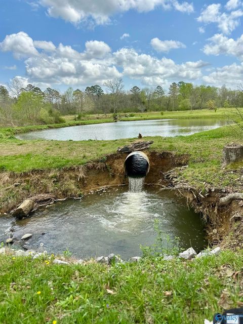 Homes For Sale - 12325 Us Hwy 411<br/> Cherokee County, Centre, AL 35960