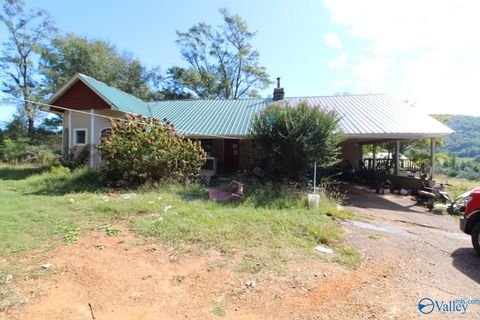 Photo of 505 Armstrong Road, Langston, AL 35755 (MLS # 21905663)