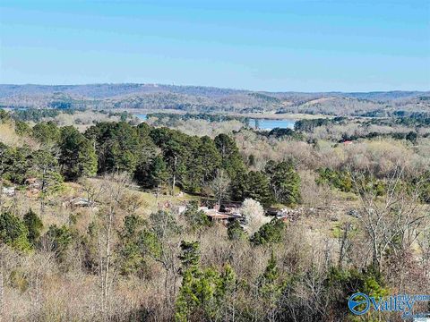 Vacant Land For Sale - 1161 Bakers Chapel Lane<br/> Guntersville, AL 35976