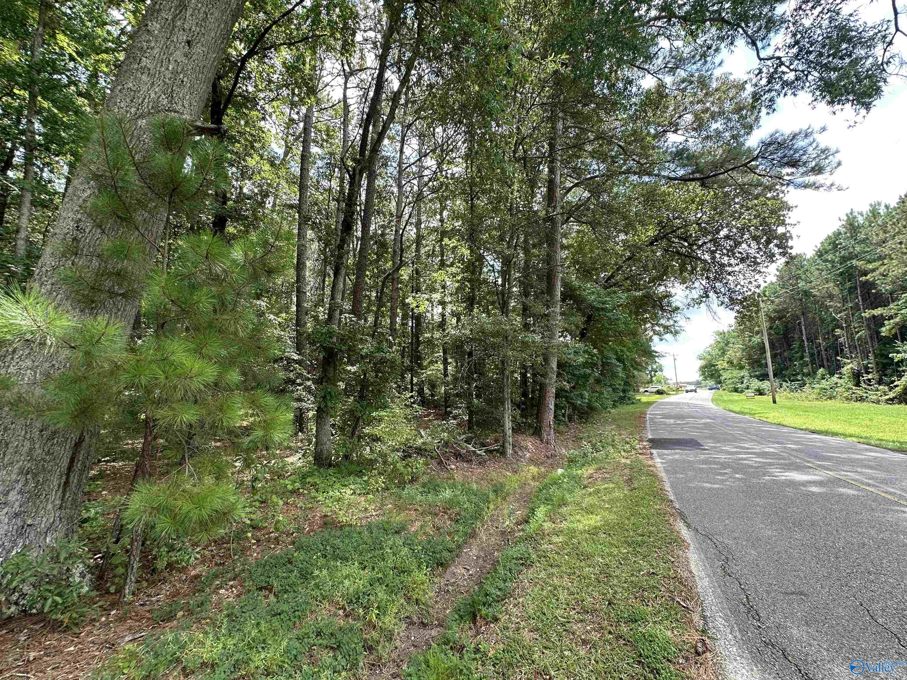 1140 Bay Springs Road #TRACT 1, Centre, Alabama image 7