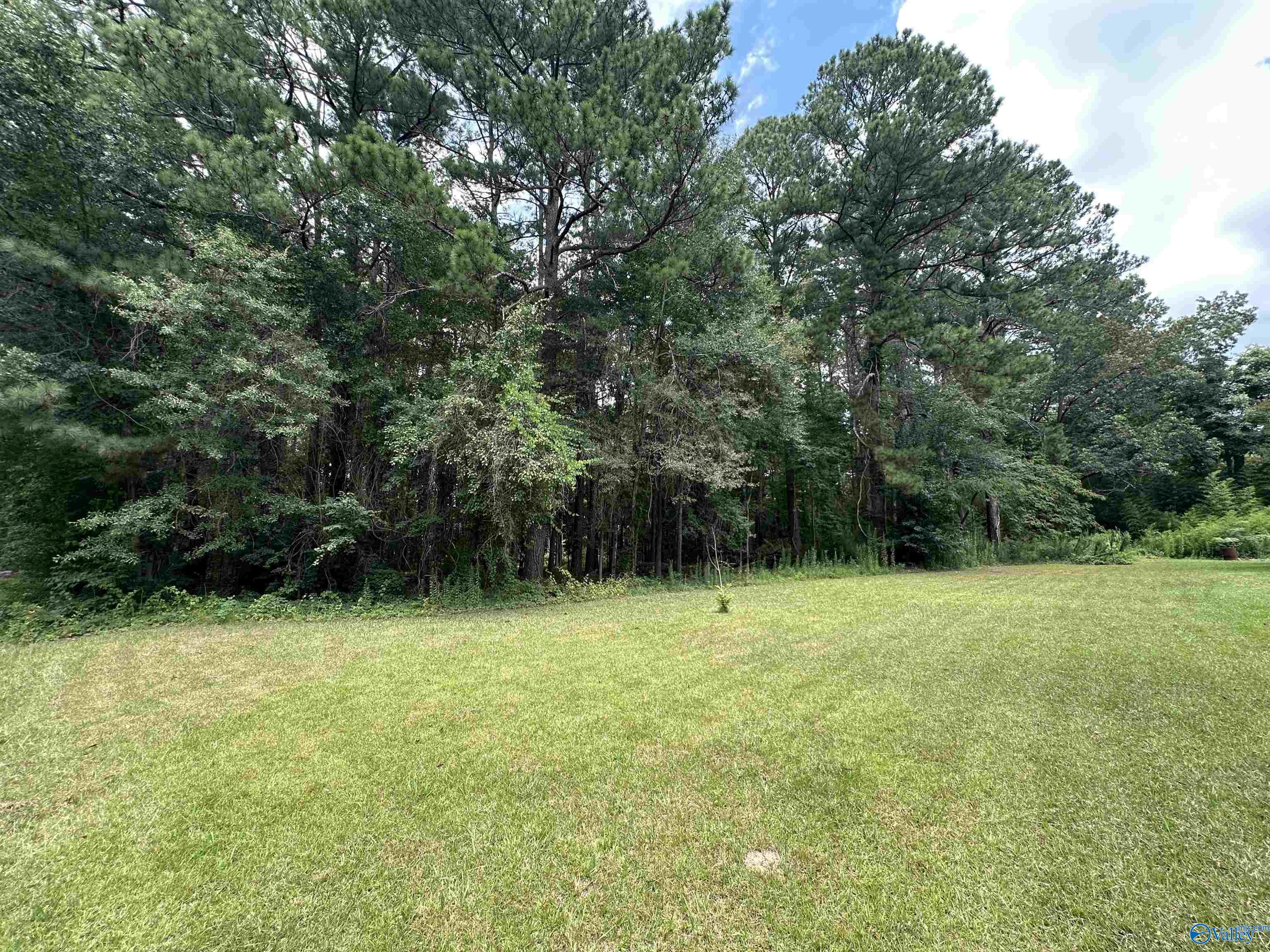 1140 Bay Springs Road #TRACT 1, Centre, Alabama image 6