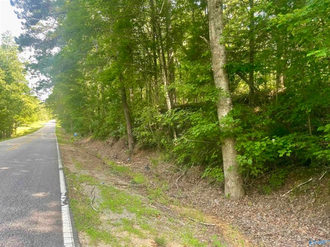 Vacant Land For Sale - 11810 County Road 9<br/> West Blocton, AL 35184