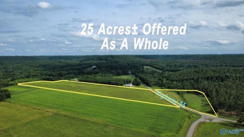 Vacant Land For Sale - 25 +/- ACRES Highway 55<br/> Falkville, AL 35622