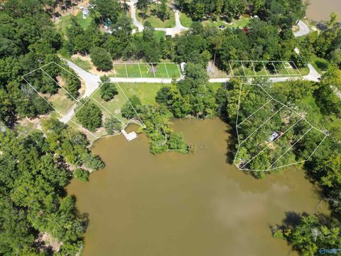 Vacant Land For Sale - 10 County Road 182<br/> Cherokee County, Cedar Bluff, AL 35959