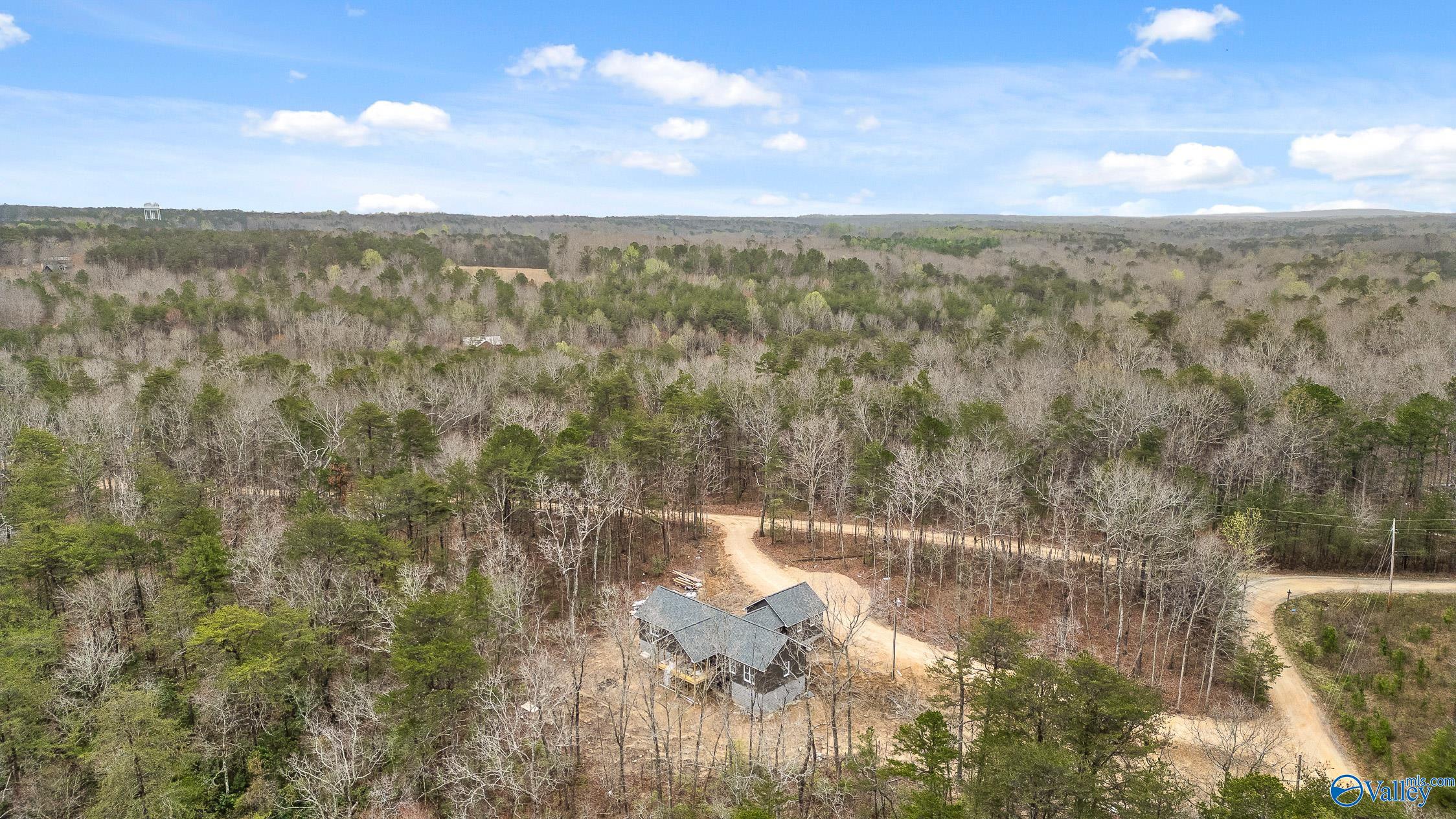299 Road 9006, Mentone, Alabama image 11
