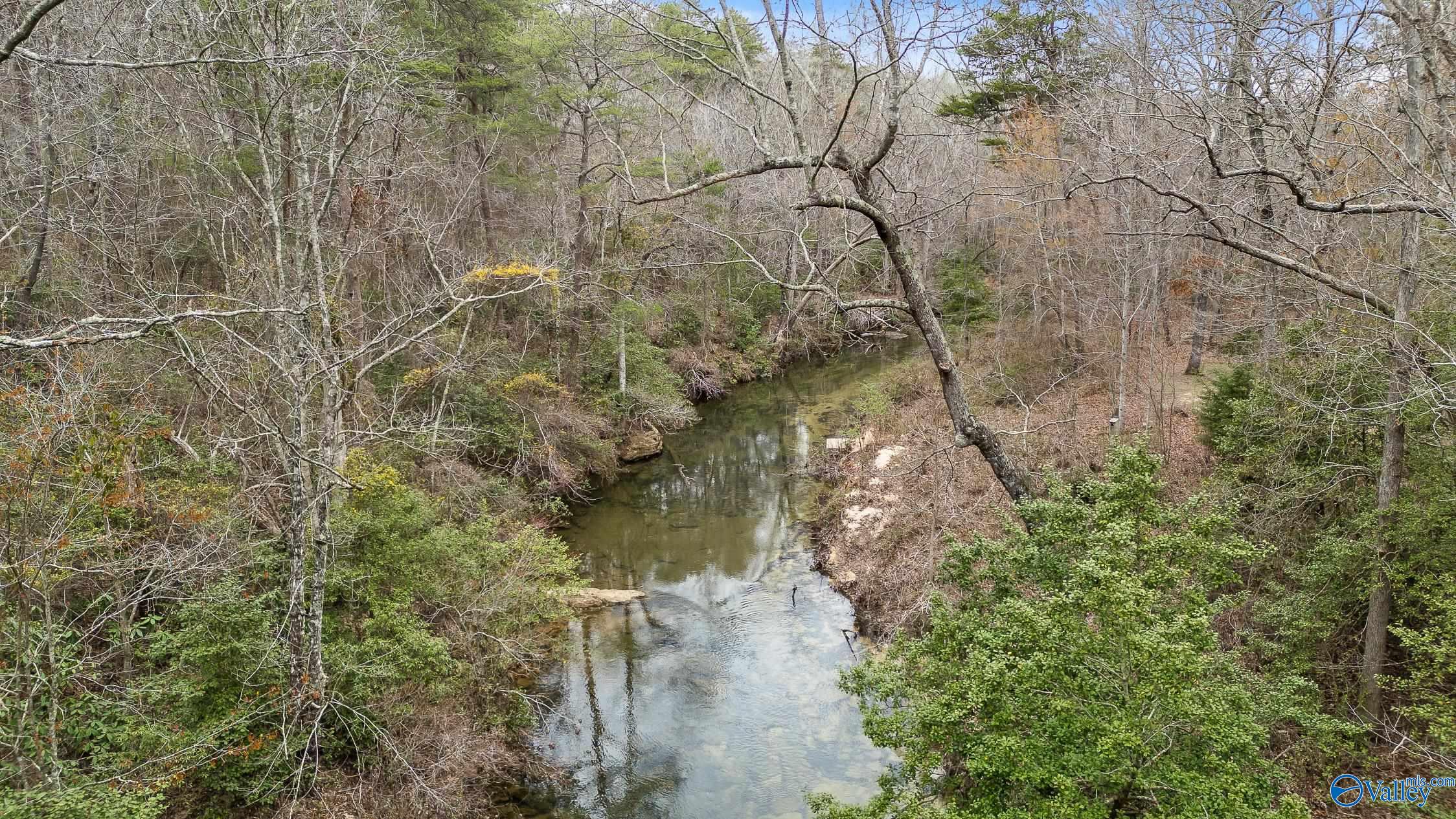 299 Road 9006, Mentone, Alabama image 1