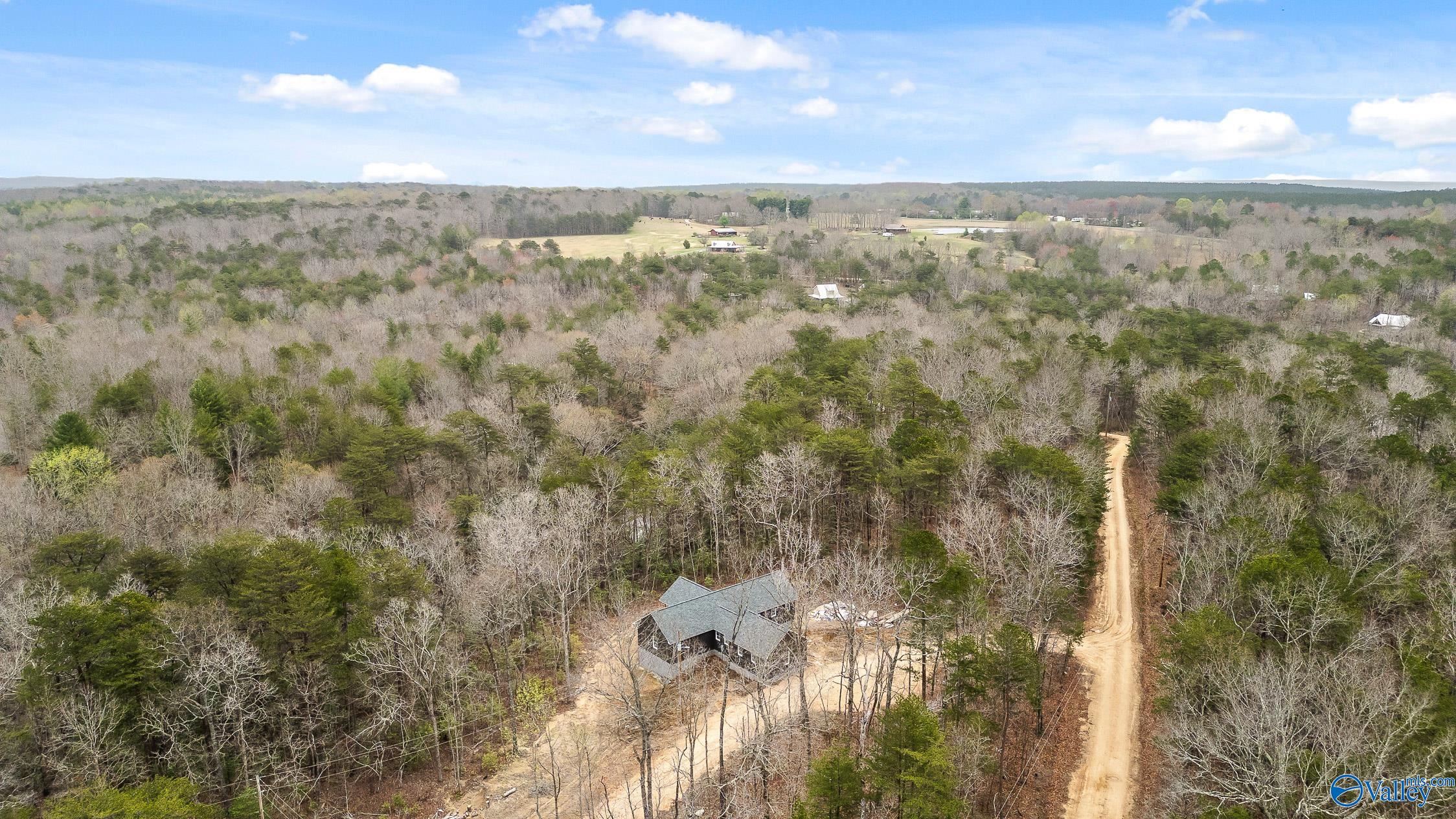 299 Road 9006, Mentone, Alabama image 12