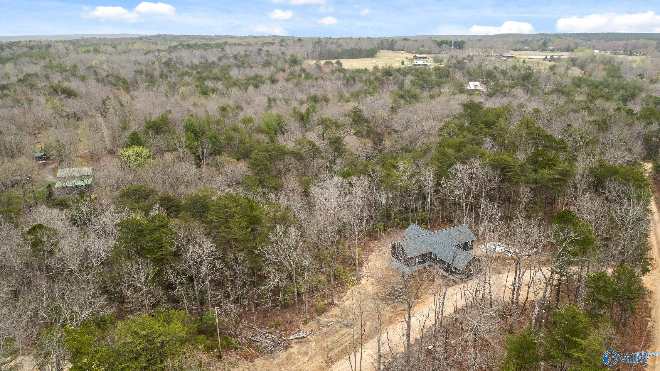 299 Road 9006, Mentone, Alabama image 3