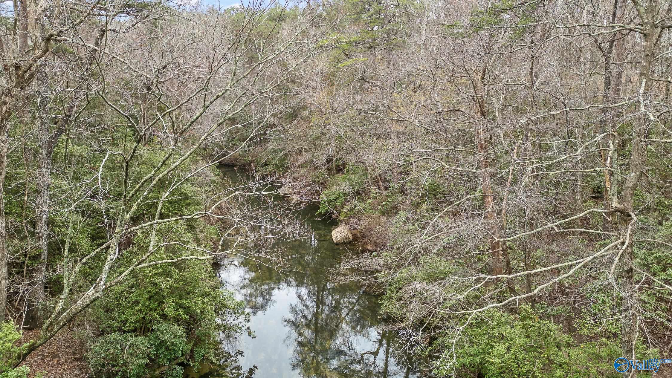 299 Road 9006, Mentone, Alabama image 4