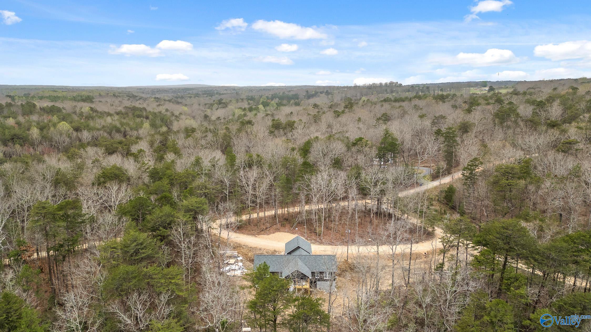 299 Road 9006, Mentone, Alabama image 10