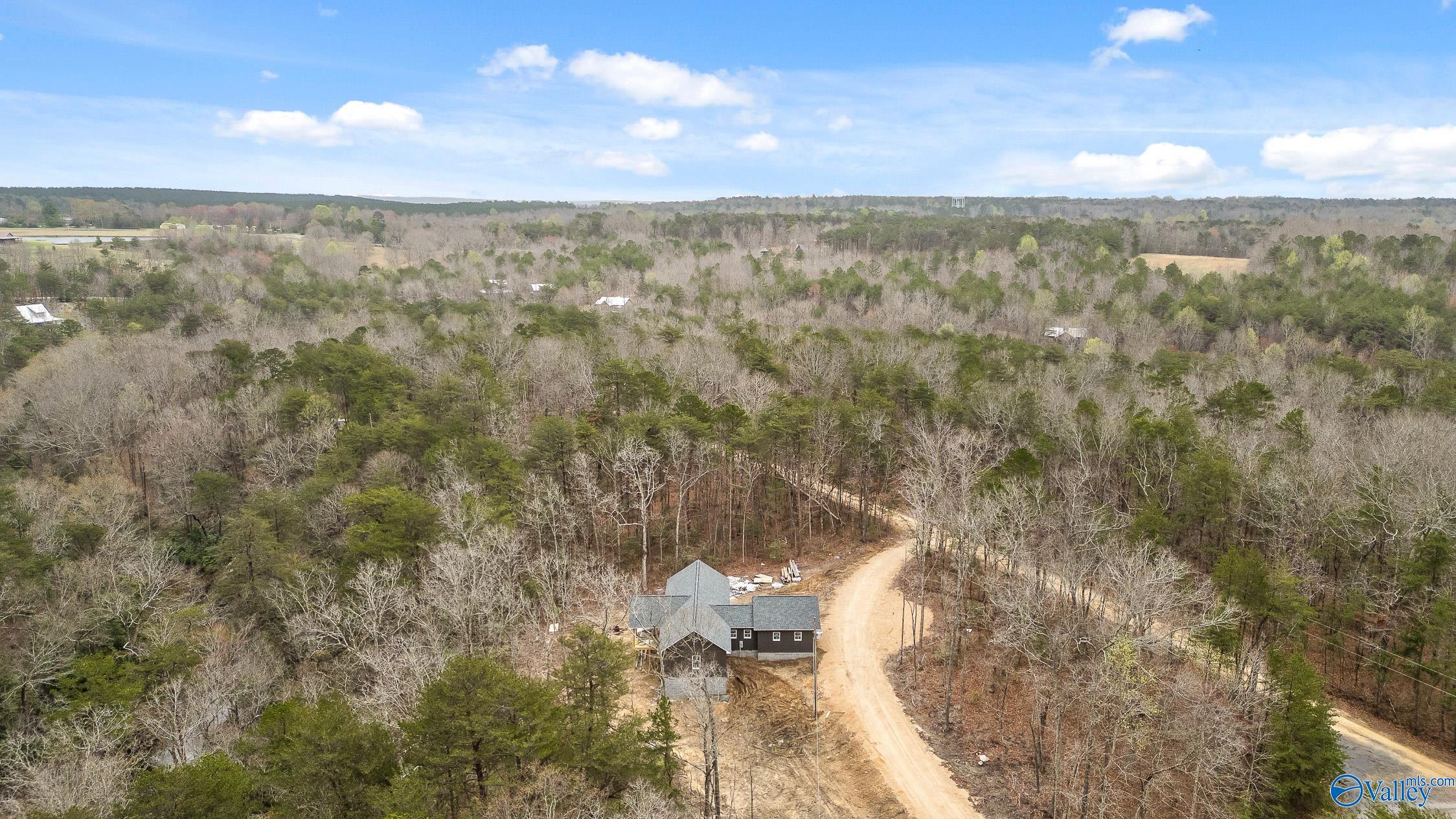 299 Road 9006, Mentone, Alabama image 7