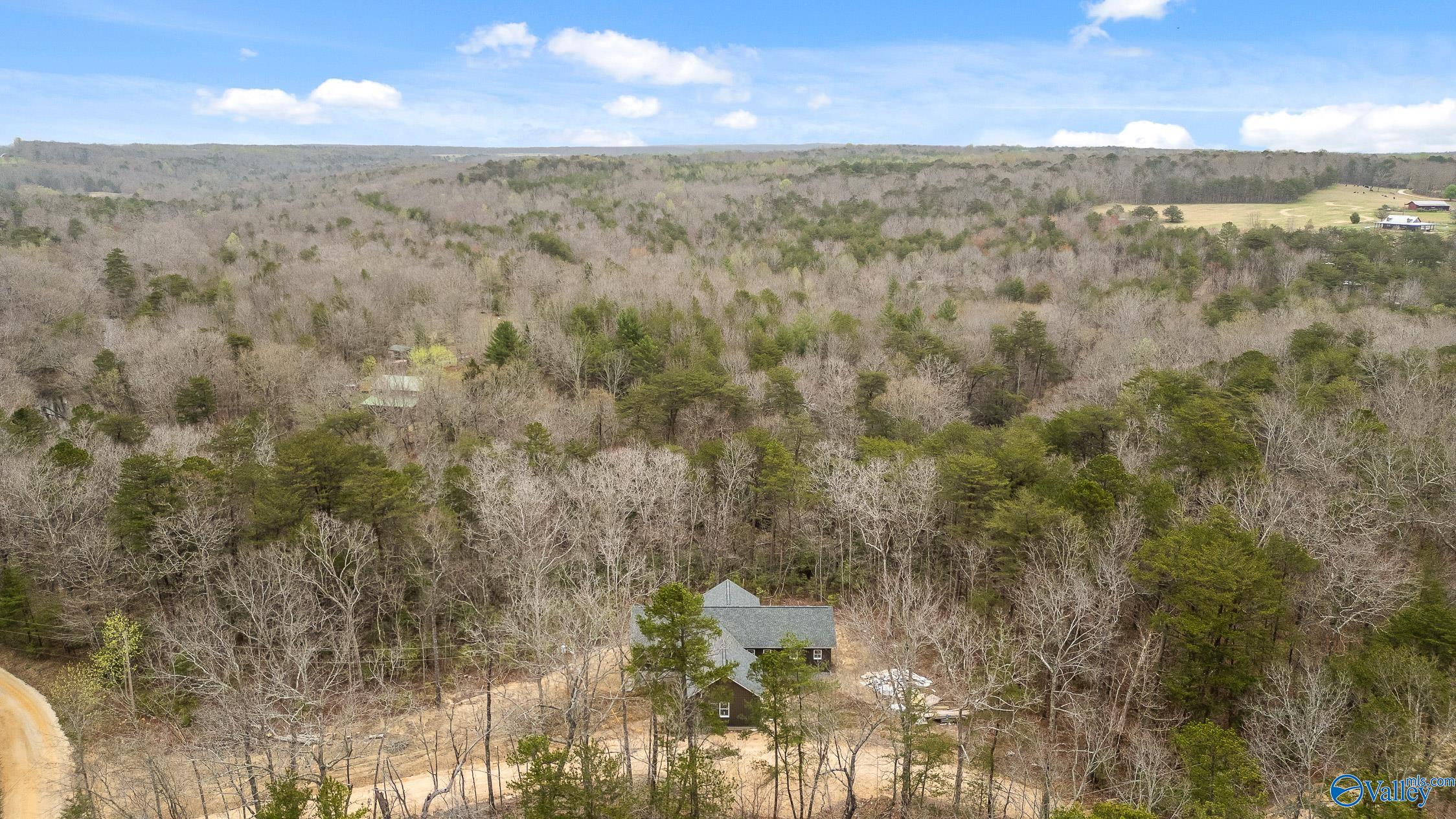 299 Road 9006, Mentone, Alabama image 8