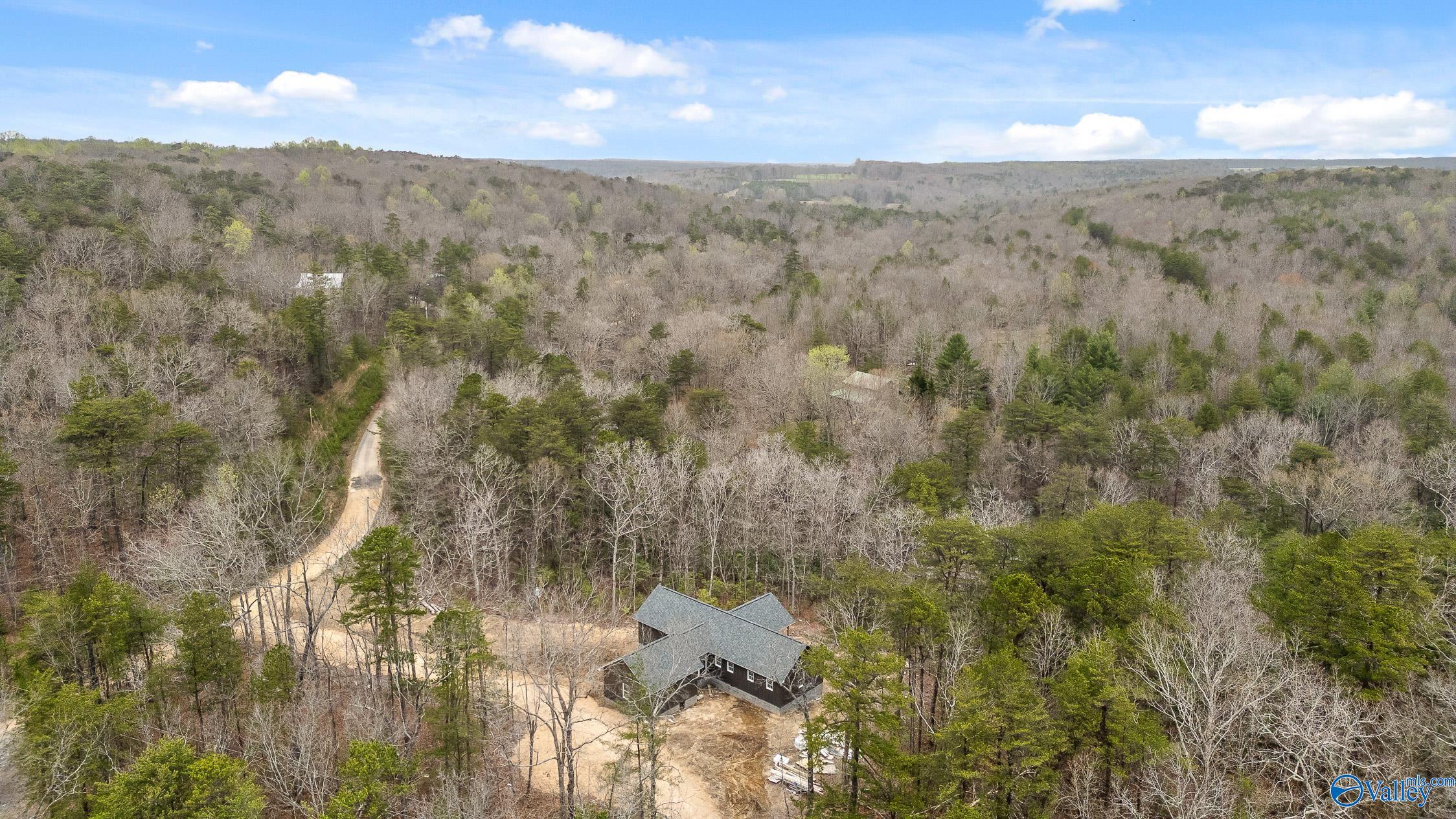 299 Road 9006, Mentone, Alabama image 6