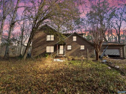 Photo of 990 Cotaco Florette Road, Somerville, AL 35670 (MLS # 21905703)