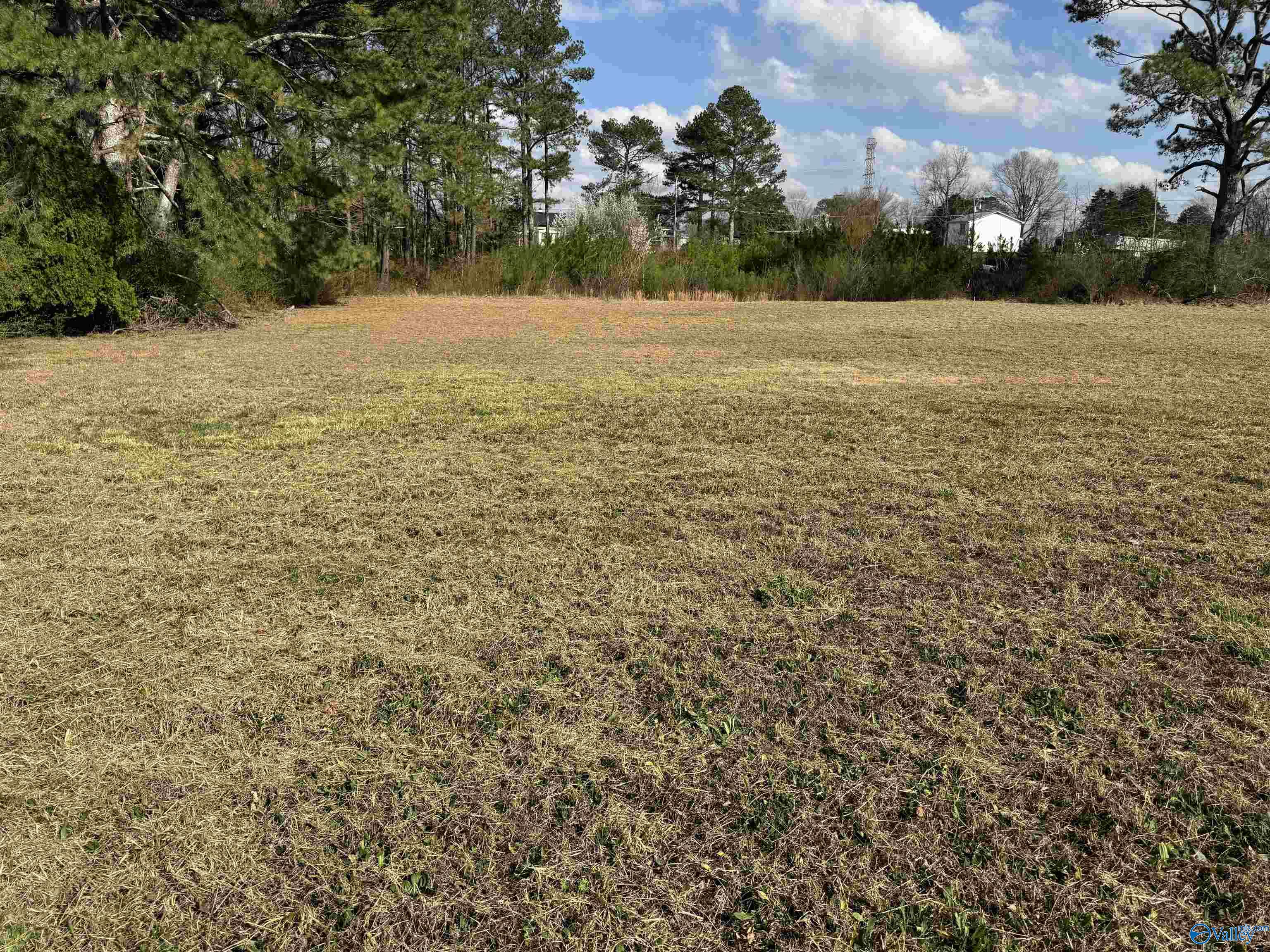 0.65 Old Big Cove Road, Owens Cross Roads, Alabama image 5