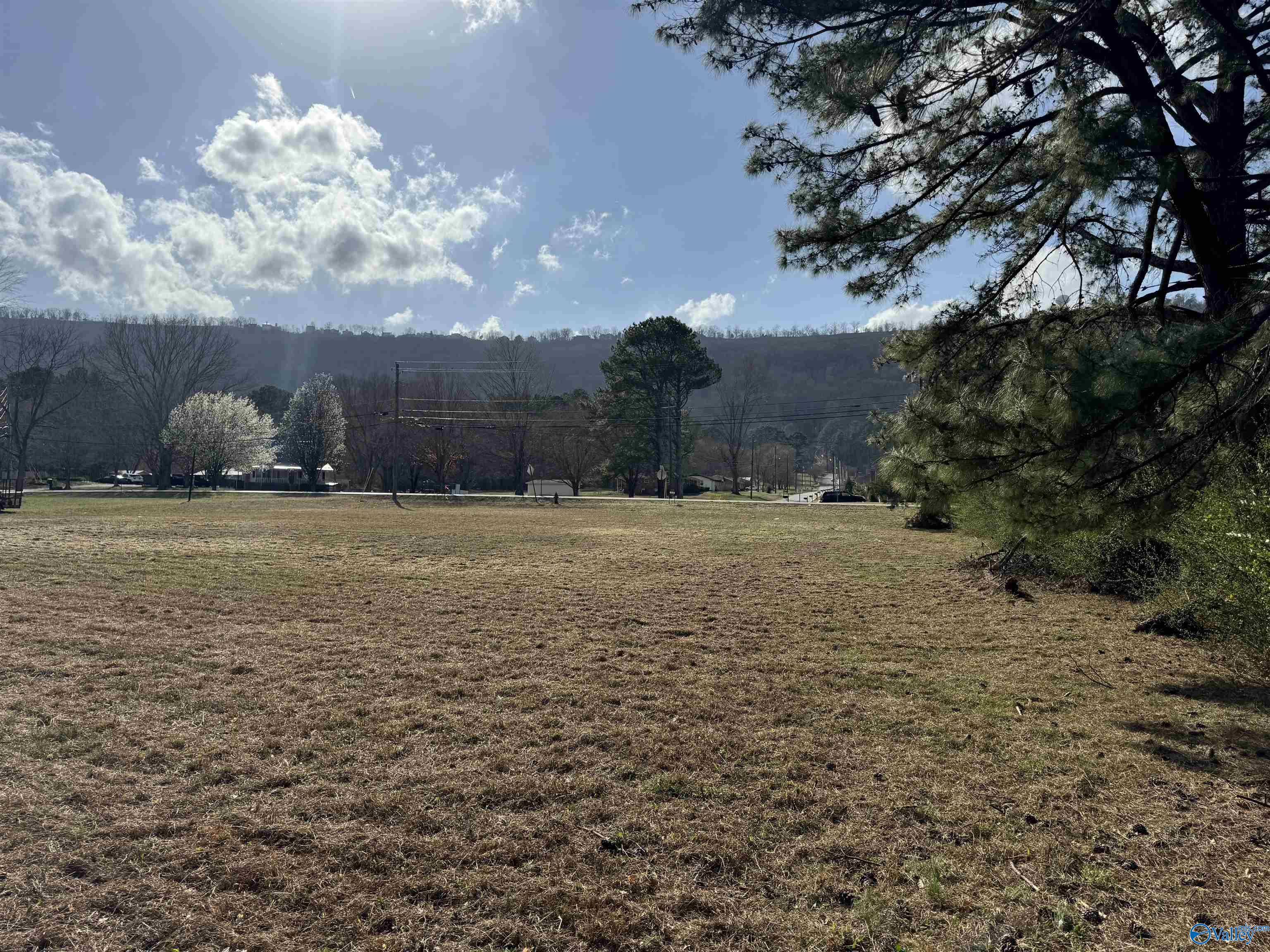0.65 Old Big Cove Road, Owens Cross Roads, Alabama image 3