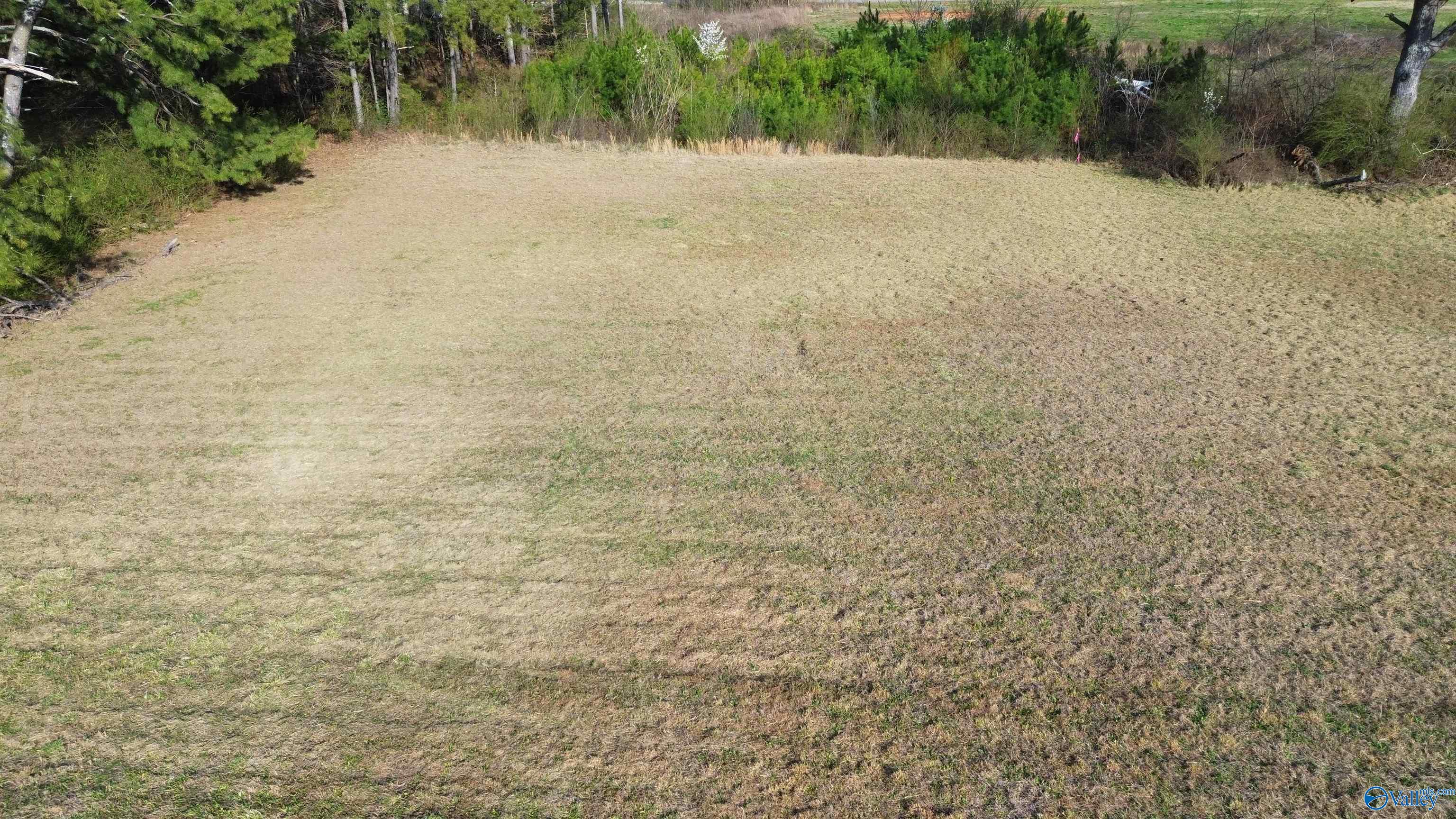 0.65 Old Big Cove Road, Owens Cross Roads, Alabama image 1