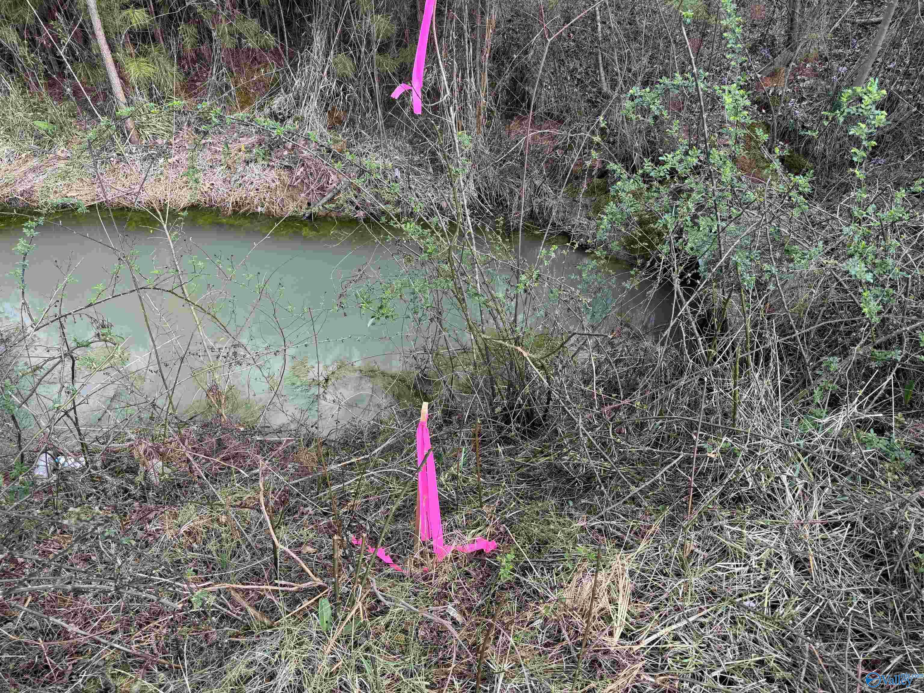 0.65 Old Big Cove Road, Owens Cross Roads, Alabama image 7