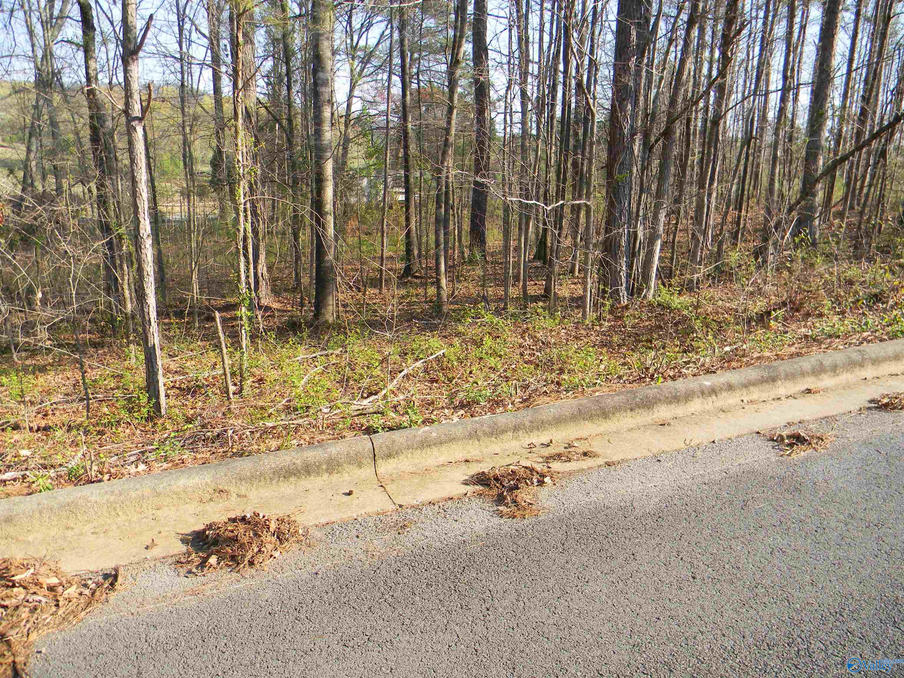 Lot 1 Cade Circle, Leesburg, Alabama image 4