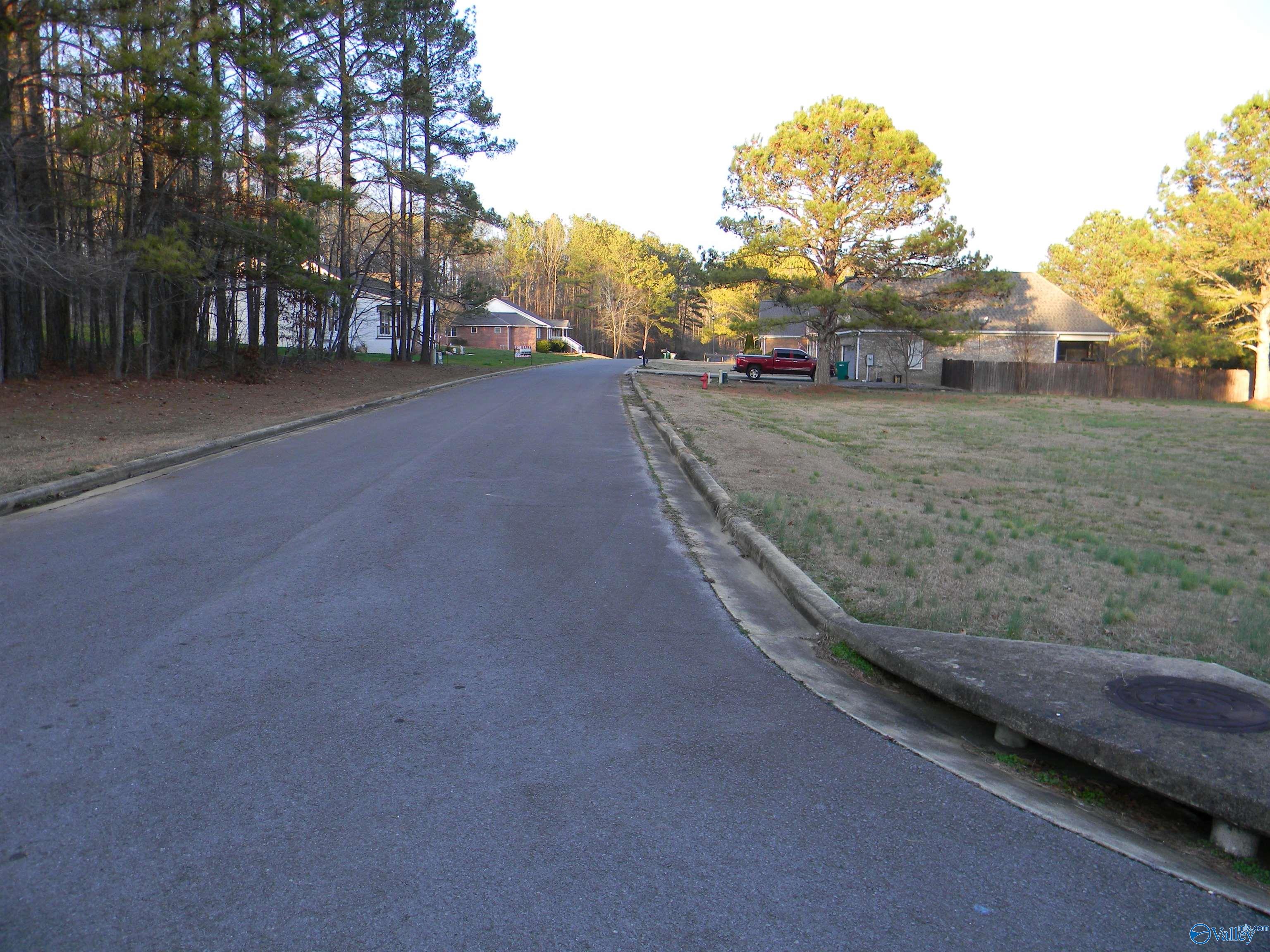 Lot 1 Cade Circle, Leesburg, Alabama image 5