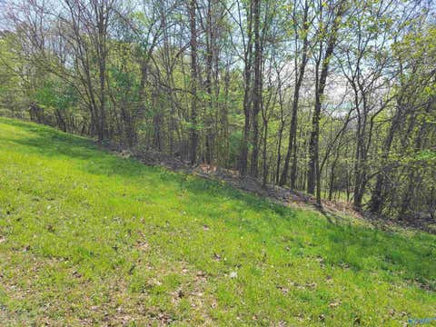 Vacant Land For Sale - 1283 Monte Sano Drive<br/> Scottsboro, AL 35769