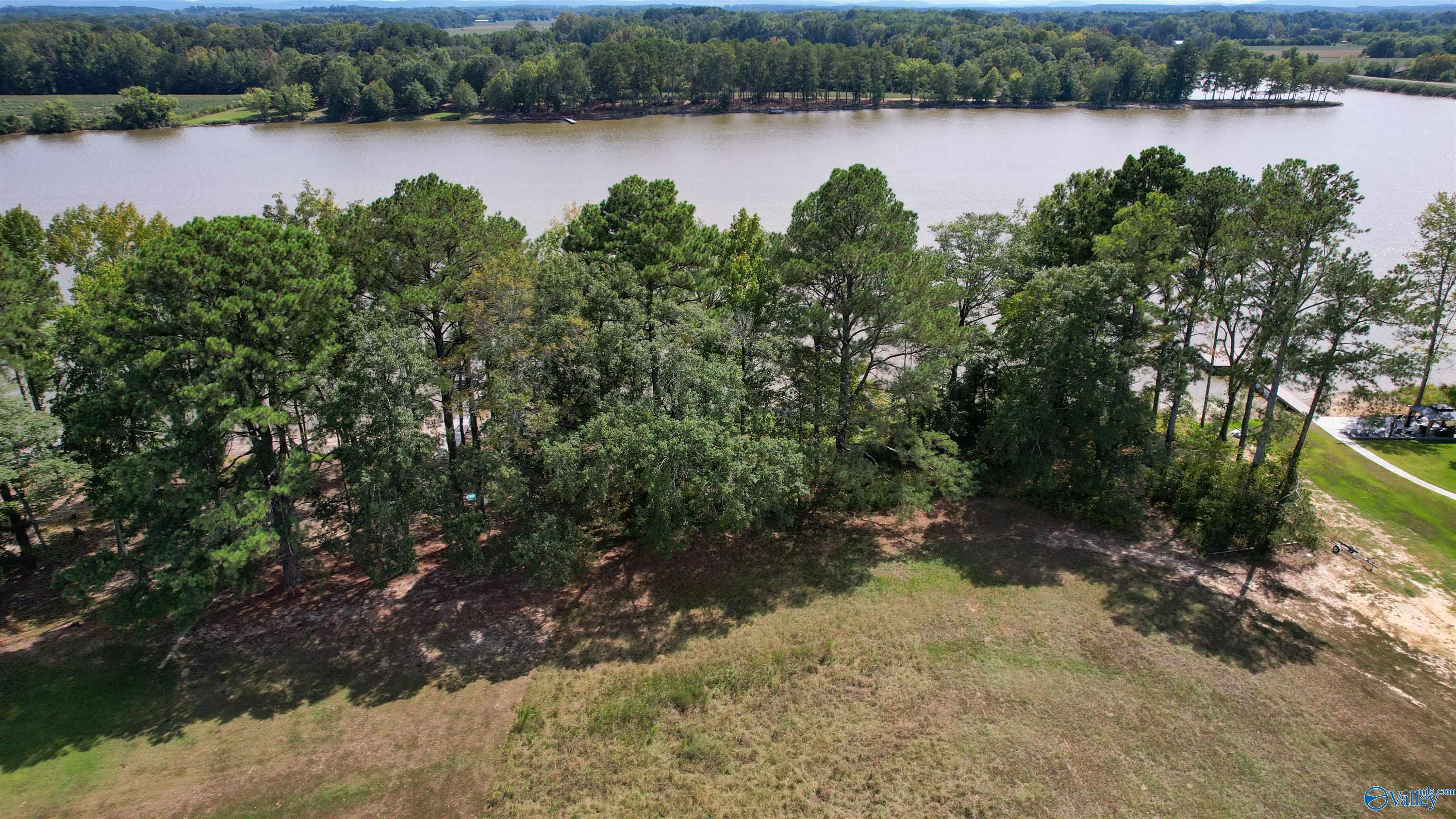 Lot 5 County Road 580, Centre, Alabama image 7