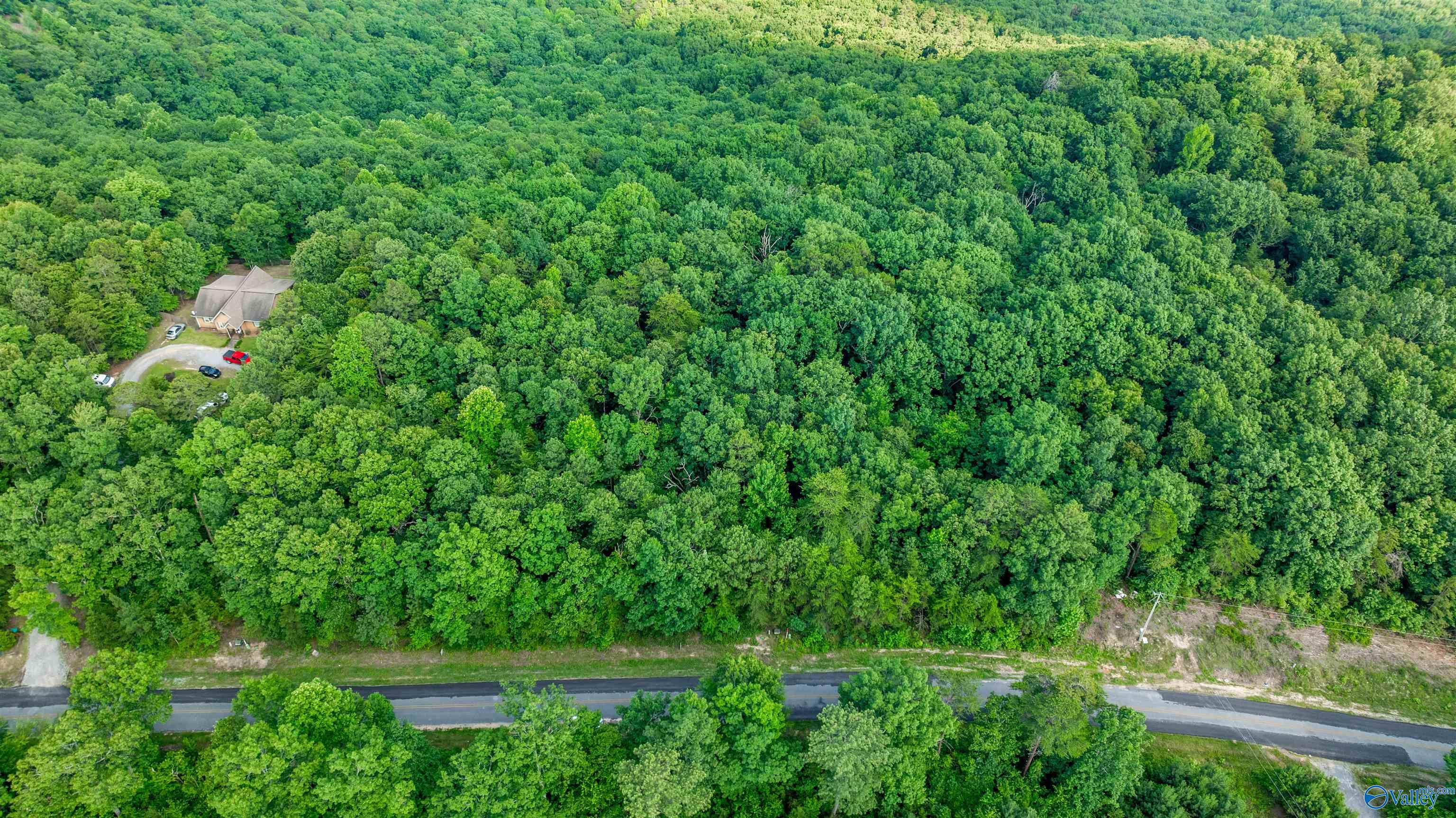 Lot 70 County Road 103, Mentone, Alabama image 6