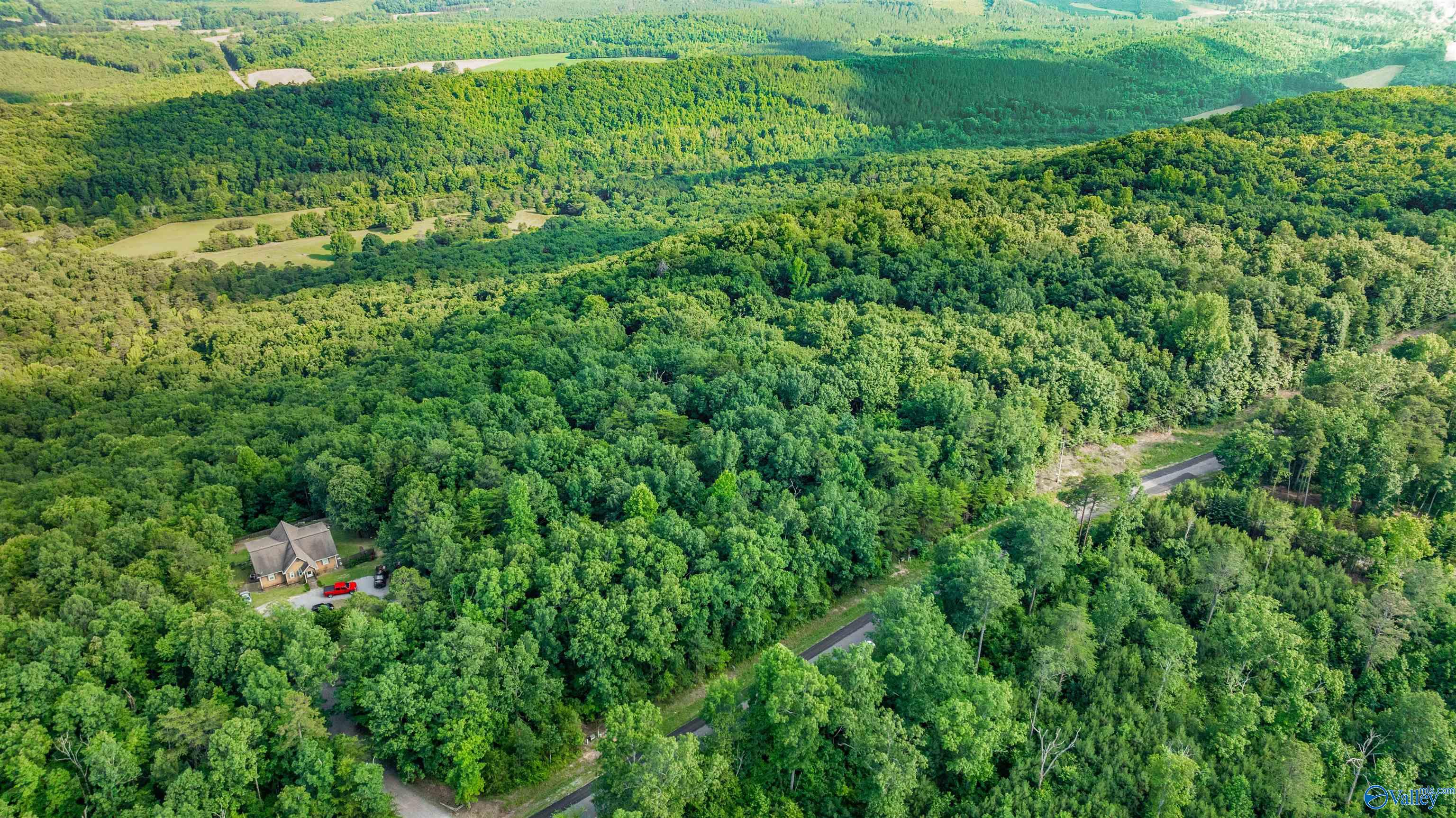 Lot 70 County Road 103, Mentone, Alabama image 8