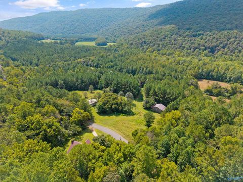 Vacant Land For Sale - 3818-2 County Road 4 #TRACT 2<br/> Hollytree, AL 35751