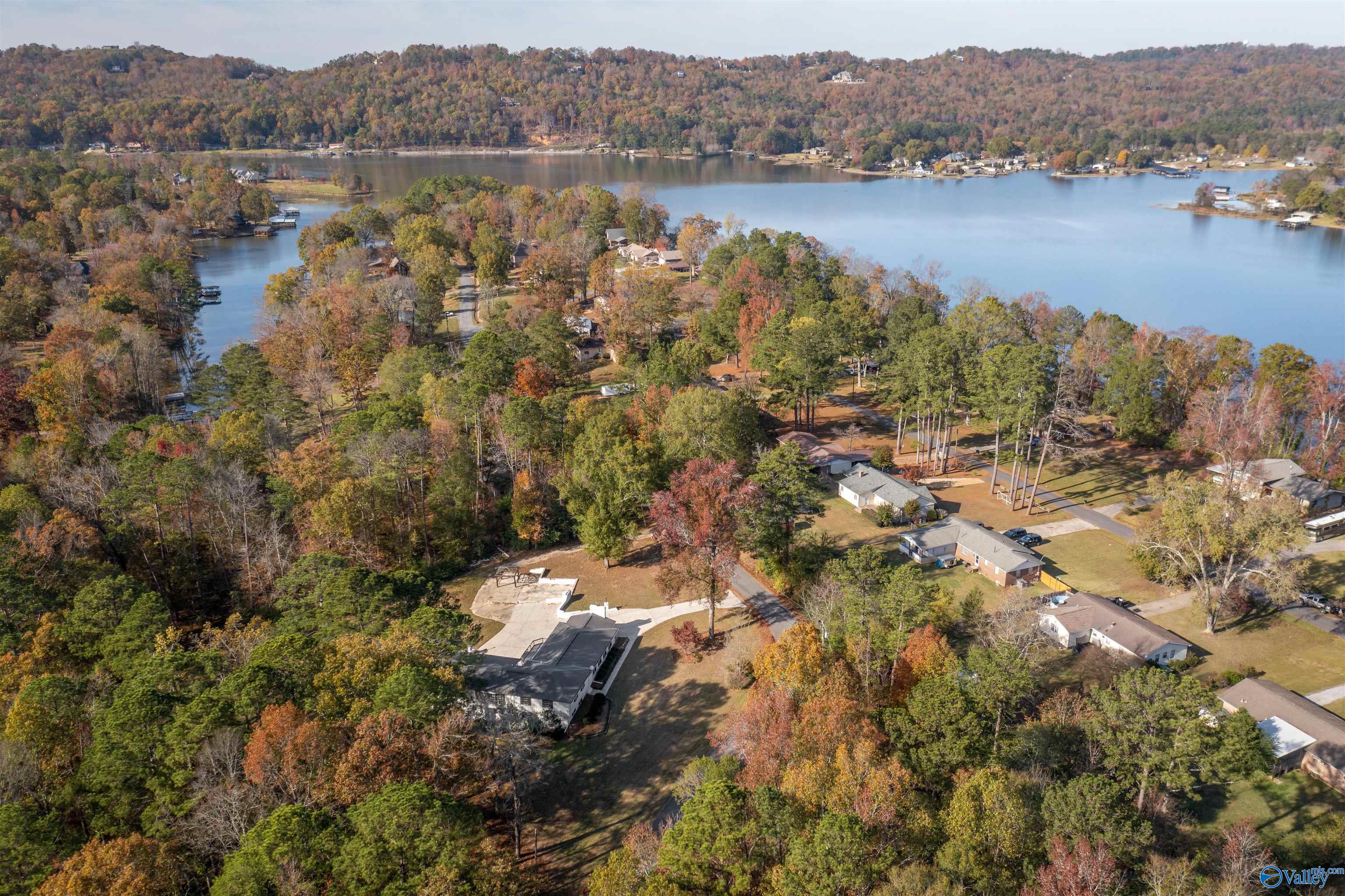 3825 Lakefront Drive, Southside, Alabama image 4