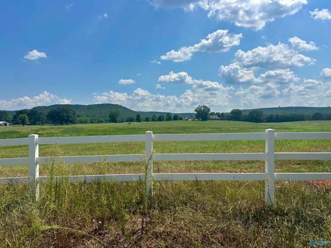Vacant Land For Sale - TRACT D Old Memphis Pike<br/> Colbert County, Tuscumbia, AL 35674