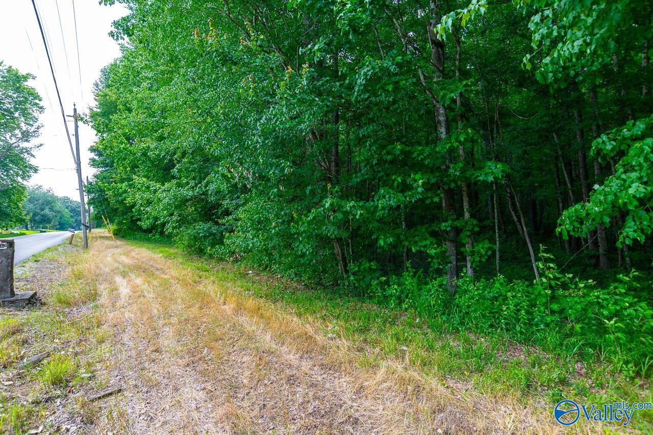 Bobo Section Bobo Section Road, Hazel Green, Alabama image 6