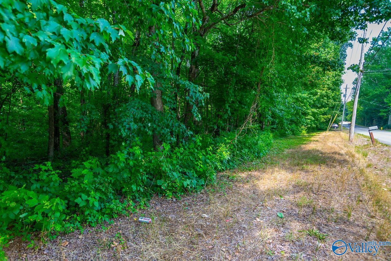 Bobo Section Bobo Section Road, Hazel Green, Alabama image 10
