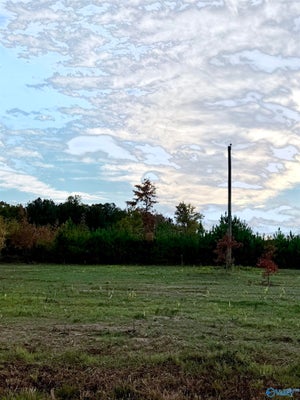 10 COUNTY RD 39, COLLINSVILLE, AL 35961 - Image a049cd224eab85f4e774f9b762d9923d/1834882073